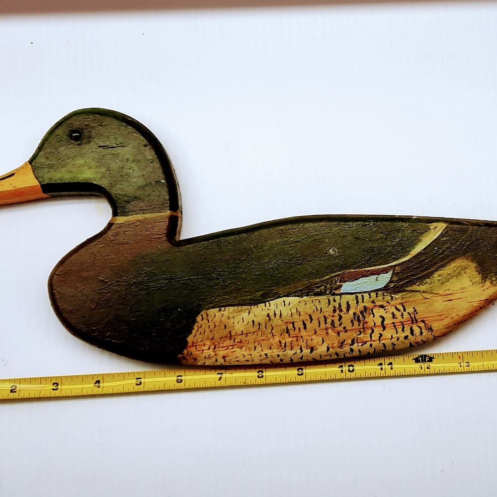 Duck